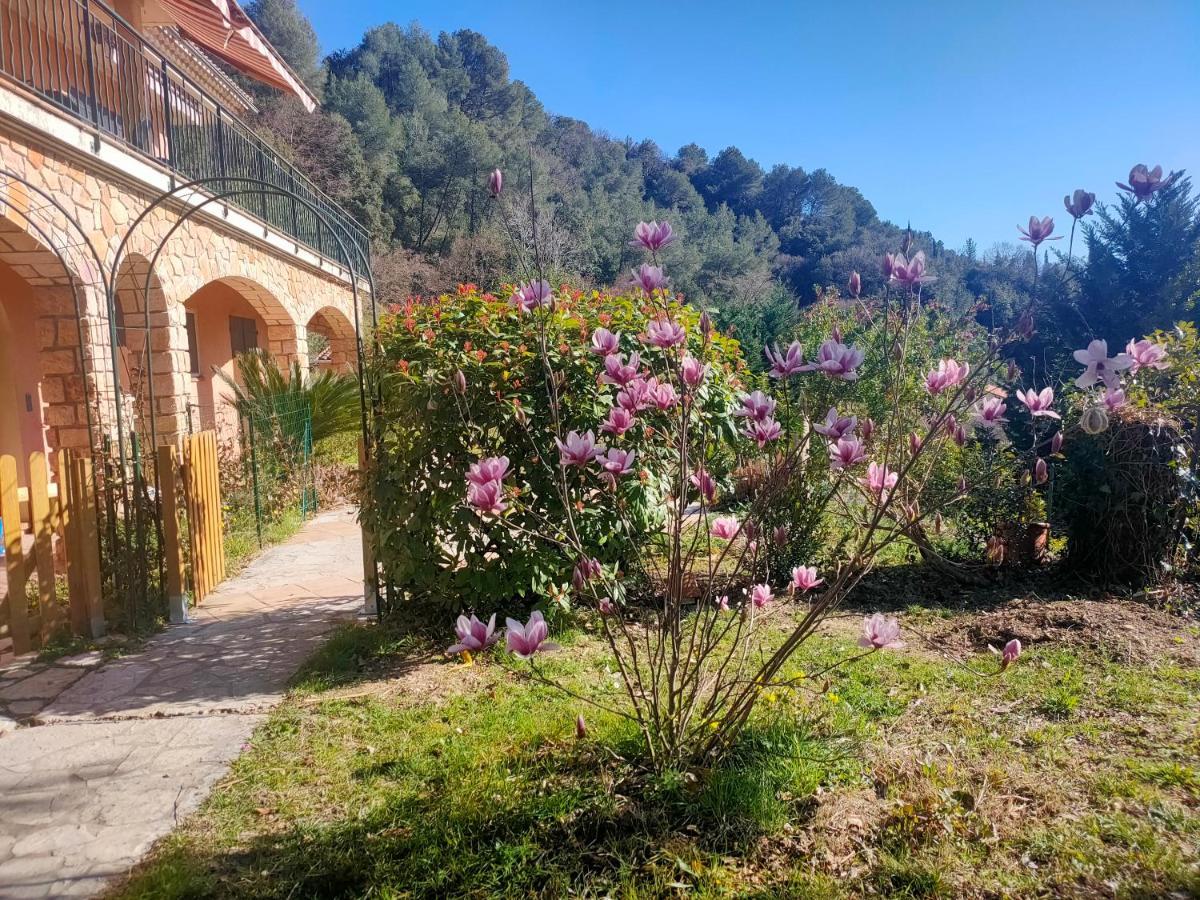 Un Brin De Paille Villa Cagnes-sur-Mer Dış mekan fotoğraf