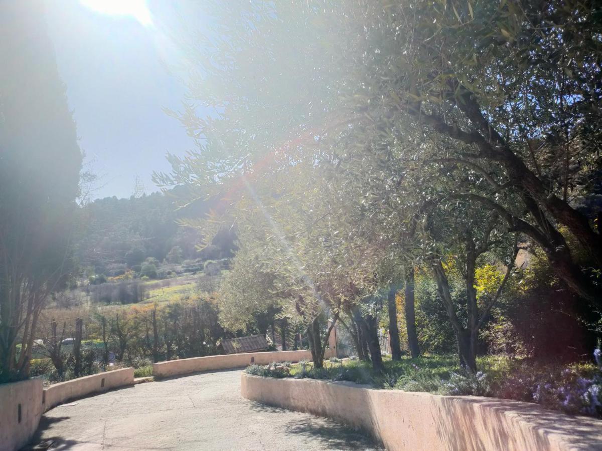 Un Brin De Paille Villa Cagnes-sur-Mer Dış mekan fotoğraf