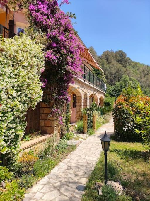 Un Brin De Paille Villa Cagnes-sur-Mer Dış mekan fotoğraf