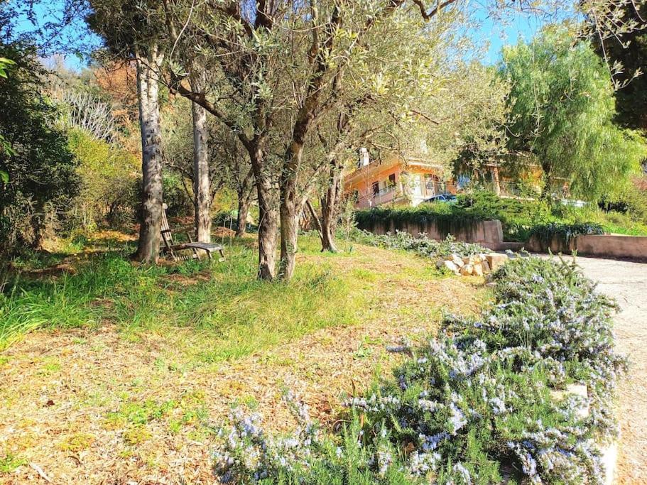Un Brin De Paille Villa Cagnes-sur-Mer Dış mekan fotoğraf